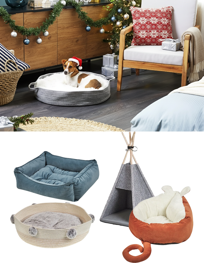 for pets