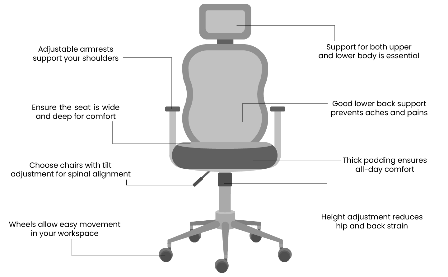 Correct Sitting Posture