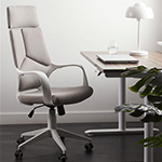 Ergonomic Chair